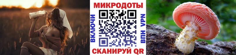 продажа наркотиков  darknet телеграм  Псилоцибиновые грибы GOLDEN TEACHER  Северская 